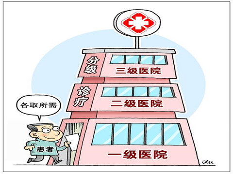 分级诊疗有多火
