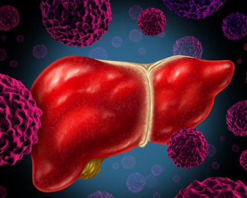 日科学家利用皮下脂肪培育出肝脏细胞