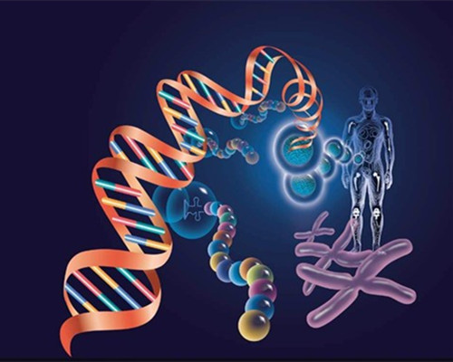 以色列科学家发现:人类的一些面部表情可以遗传