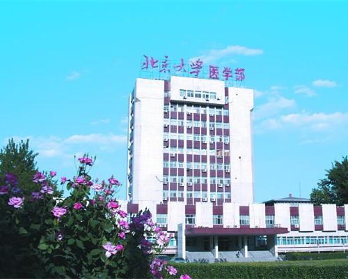 北大医学部揭示钾通道结构基础和分子机制
